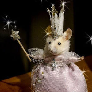 Meet your Posher, Lovely